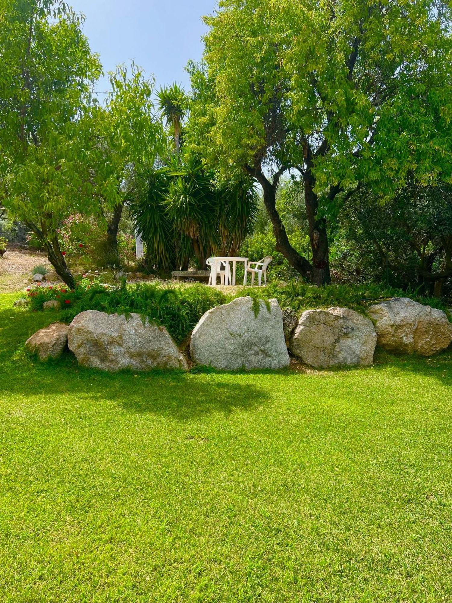 Villa Peditoltu أولبيا المظهر الخارجي الصورة